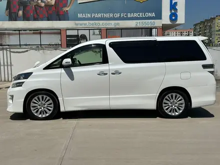 Toyota Vellfire 2012 года за 8 900 000 тг. в Туркестан – фото 7