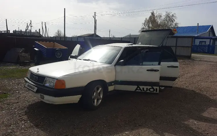 Audi 100 1986 года за 1 350 000 тг. в Петропавловск