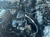 Двигатель на Форд Двигатель на Ford за 289 990 тг. в Алматы
