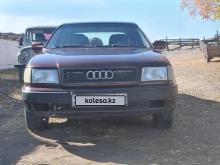 Audi 100 1991 года за 1 600 000 тг. в Павлодар