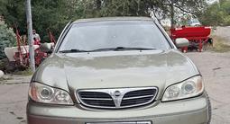 Nissan Maxima 2001 года за 2 200 000 тг. в Кордай