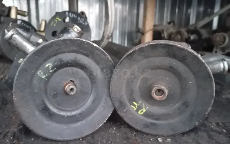 Гуры,привозные,RF,RZ за 15 000 тг. в Алматы