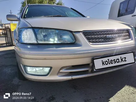 Toyota Camry Gracia 2000 года за 3 700 000 тг. в Талдыкорган – фото 24