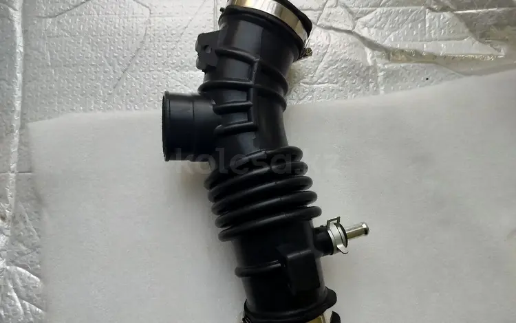 Гофра Almera N16, Primera P12, Tino за 8 000 тг. в Алматы