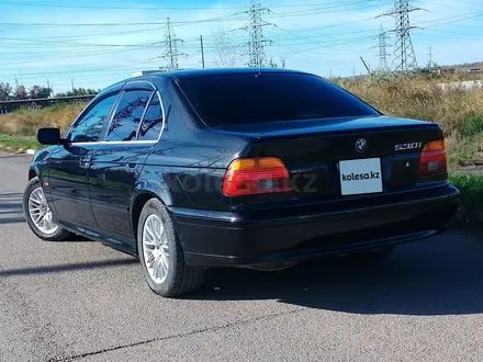 BMW 530 2001 года за 4 600 000 тг. в Астана – фото 3