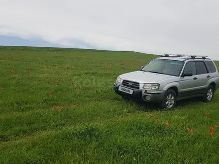 Subaru Forester 2003 года за 4 500 000 тг. в Тараз – фото 8