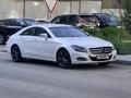 Mercedes-Benz CLS 350 2011 годаfor14 500 000 тг. в Астана – фото 17