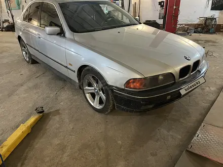 BMW 523 1995 года за 2 400 000 тг. в Павлодар – фото 5