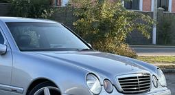 Mercedes-Benz E 55 AMG 2002 годаүшін9 000 000 тг. в Алматы – фото 4