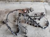 Коса , проводка двигателя Touareg / Туарег за 35 000 тг. в Алматы – фото 2