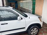Honda CR-V 2003 года за 5 155 150 тг. в Алматы – фото 5