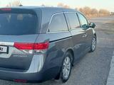 Honda Odyssey 2014 года за 8 800 000 тг. в Шымкент – фото 3