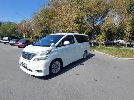 Toyota Vellfire 2010 года за 7 000 000 тг. в Алматы – фото 14