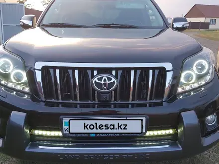 Toyota Land Cruiser Prado 2013 года за 18 000 000 тг. в Кокшетау – фото 17