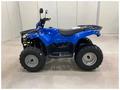 IRBIS  ATV200 LUX 2026 года за 424 516 тг. в Алматы – фото 2