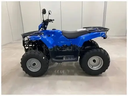 IRBIS  ATV200 LUX 2026 года за 424 516 тг. в Алматы – фото 2