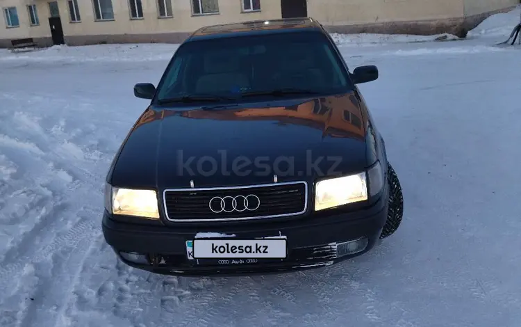 Audi 100 1992 годаүшін2 300 000 тг. в Петропавловск