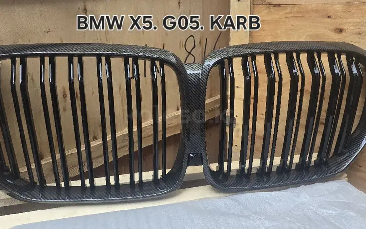 Ноздри BMW G05 за 45 000 тг. в Алматы