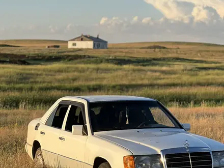 Mercedes-Benz E 220 1993 года за 1 650 000 тг. в Караганда – фото 21