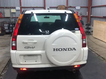 Бампер задний для Honda CR-V 5үшін50 000 тг. в Шымкент – фото 4