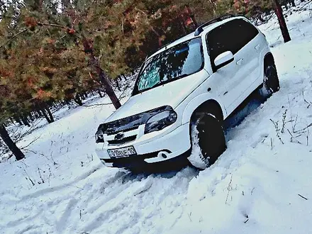 Chevrolet Niva 2013 года за 4 000 000 тг. в Костанай – фото 17