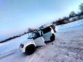 Chevrolet Niva 2013 годаүшін4 000 000 тг. в Костанай – фото 38