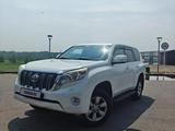 Toyota Land Cruiser Prado 2013 годаүшін14 500 000 тг. в Павлодар – фото 4