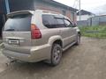 Lexus GX 470 2003 годаүшін8 500 000 тг. в Зайсан – фото 2