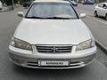Toyota Camry 2000 года за 2 900 000 тг. в Шымкент – фото 16