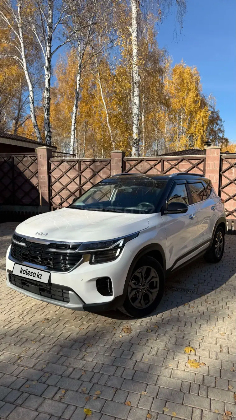 Kia Seltos, 2024