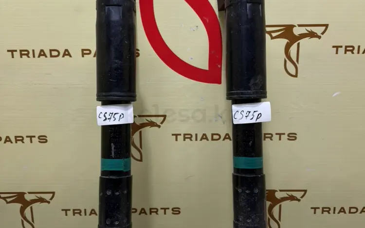 Амортизаторы задние на Changan CS75 Plus за 78 111 тг. в Алматы