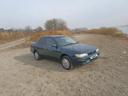 Toyota Corolla 1994 года за 1 500 000 тг. в Семей – фото 2