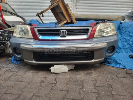 Ноускат за 300 000 тг. в Алматы