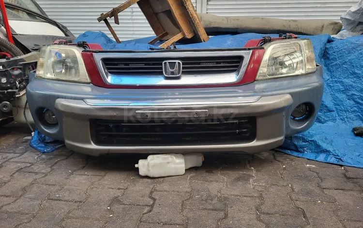 Ноускат за 300 000 тг. в Алматы