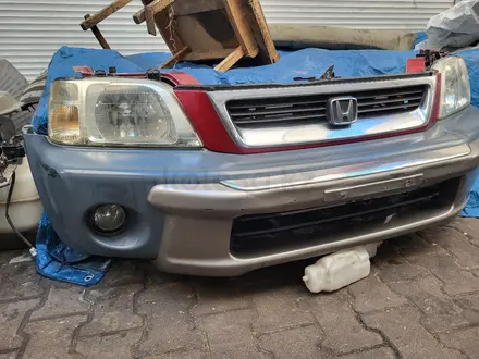 Ноускат за 300 000 тг. в Алматы – фото 2