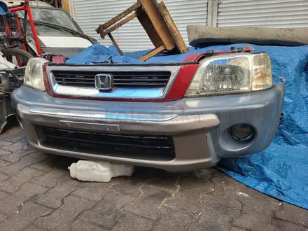 Ноускат за 300 000 тг. в Алматы – фото 3