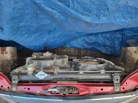 Ноускат за 300 000 тг. в Алматы – фото 5