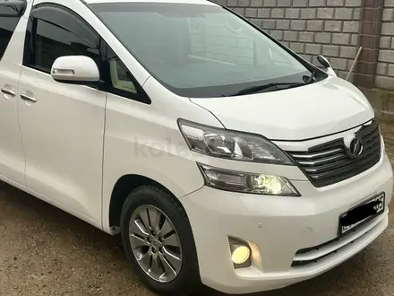 Toyota Vellfire 2010 года за 13 000 000 тг. в Алматы