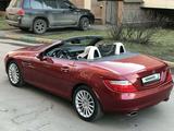 Mercedes-Benz SLK 280 2006 годаүшін8 400 000 тг. в Костанай