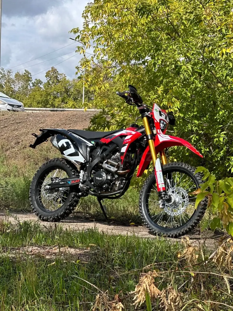 Ular cb250 m7. Маятник рейсер пантера 250. Юла мотоцикл дубна. Cb 250 r. Honda nighthawk 250.