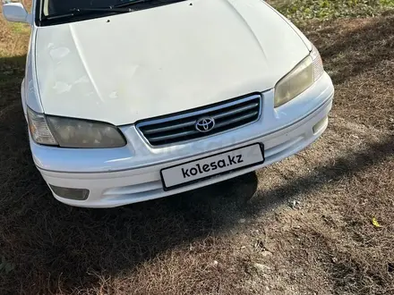 Toyota Camry 2000 года за 3 300 000 тг. в Алматы – фото 2