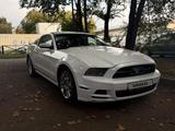Ford Mustang 2013 годаүшін12 000 000 тг. в Алматы – фото 2