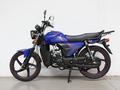 Racer  Alpha 110 с документами 49 2024 года за 450 000 тг. в Усть-Каменогорск – фото 3