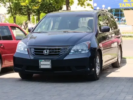 Honda Odyssey 2009 года за 8 200 000 тг. в Тараз – фото 14