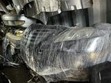 Ноускад морда за 450 000 тг. в Алматы