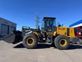 XCMG  ZL50GN 2026 годаүшін26 255 000 тг. в Караганда