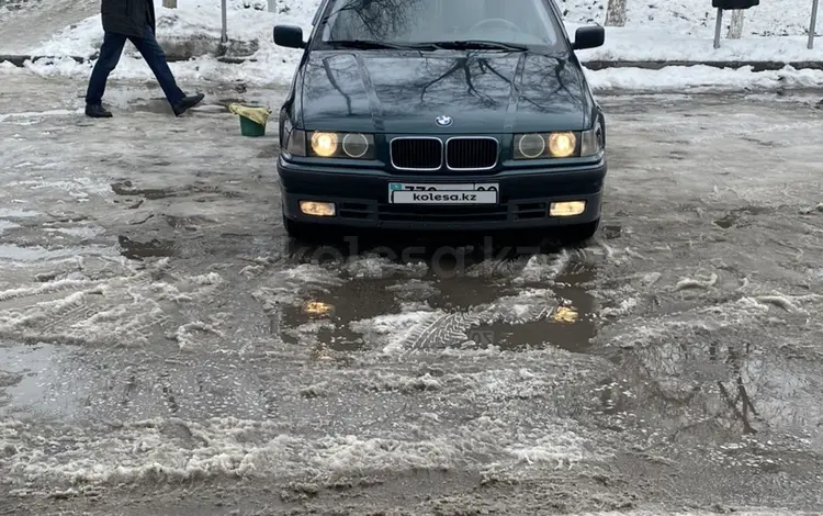 BMW 320 1995 годаүшін2 650 000 тг. в Алматы