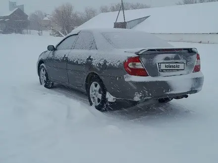 Toyota Camry 2002 года за 5 200 000 тг. в Урджар – фото 14