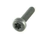 Болт масляного насоса BMW B58, B48, B46, B57, B47| OEM 11417823426үшін9 900 тг. в Алматы