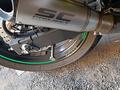 Kawasaki  Ninja 300 2014 года за 2 200 000 тг. в Алматы – фото 4
